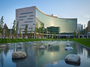 The Cleveland Clinic Foundation