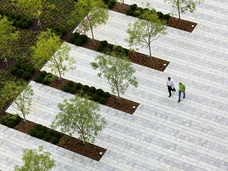 Urban Places. Green Spaces.