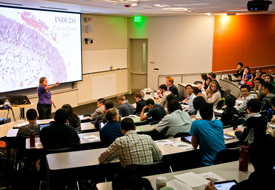 Казанский университет иннополис. It университет в казани иннополис. Астана айти университет. Студенты в айти университете. Aitu астана.