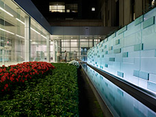 Garden of Healing