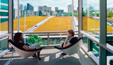 WSJ: Design That Optimizes Your Brain At Work