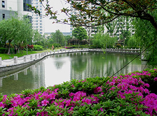 Urban Oasis