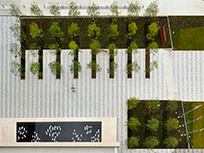 World Landscape Architecture: Grange