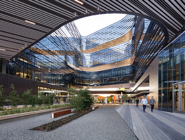 Bloomberg Examines Biophilic Workplace Design
