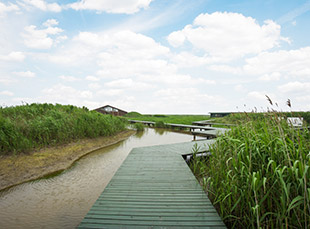 Chongming Dongtan National Nature Reserve
