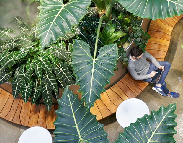 Interior Design: NBBJ Puts Nature into the Workplace for the Amazon Spheres in Seattle
