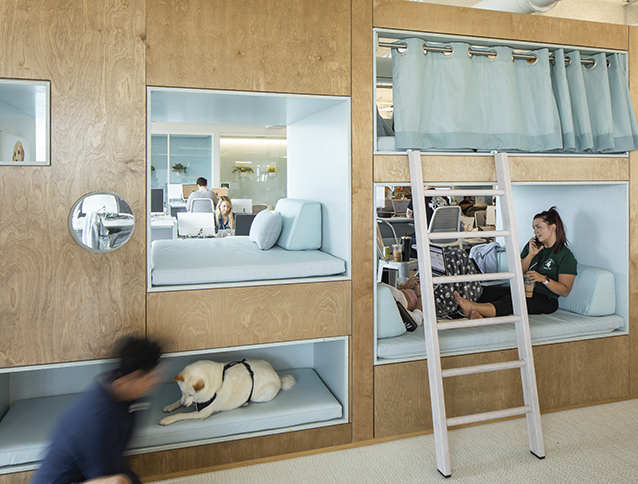 Fast Company Honors Bark’s Office as Most Dog-Friendly