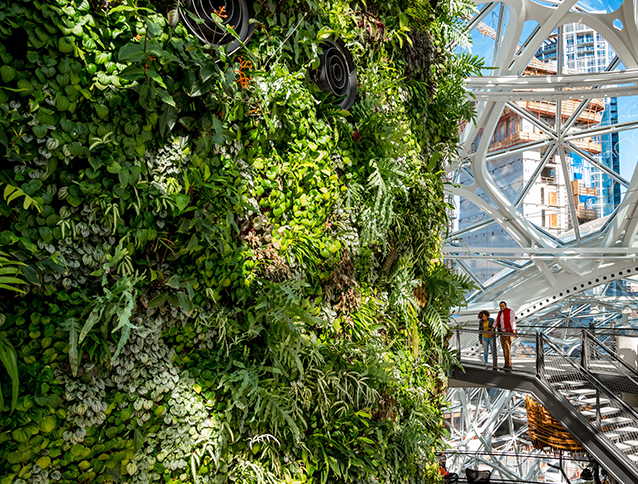 Business Insider: Bringing Nature to Work