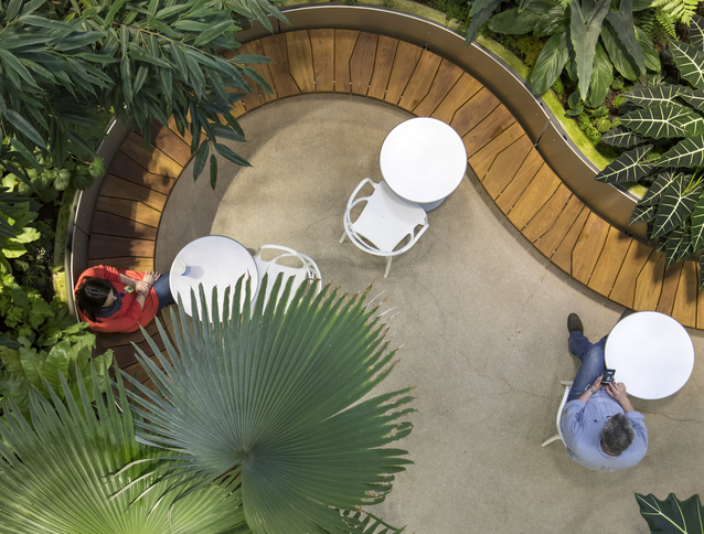 NBBJ Becomes Carbon Neutral and Commits to Net Zero Carbon by 2050